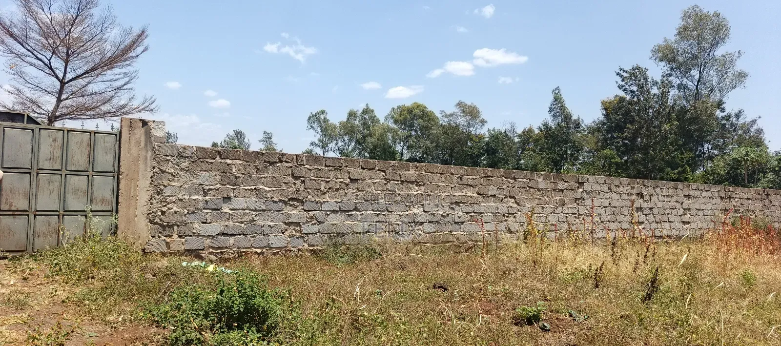 Kirinyaga / Kiangwachi Developed 3 Quota Touching Tarmac