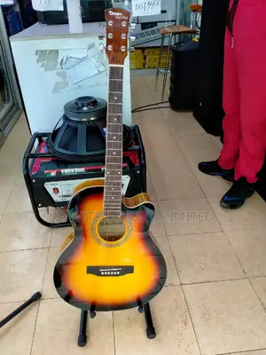 Semi Acoustic Guitar