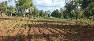 7 Acres Kirinyaga/ Kiandai - thumbnail 2