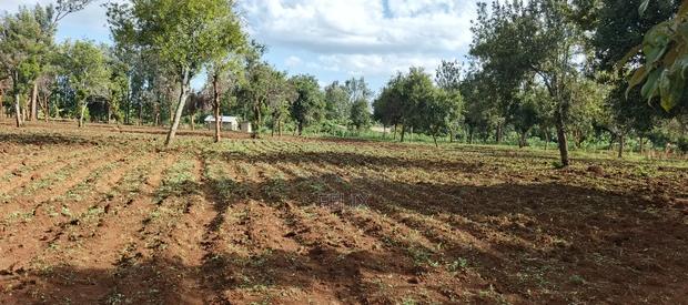 7 Acres Kirinyaga/ Kiandai - main view