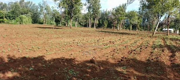 7 Acres Kirinyaga/ Kiandai - thumbnail 3