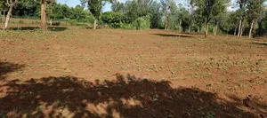 7 Acres Kirinyaga/ Kiandai