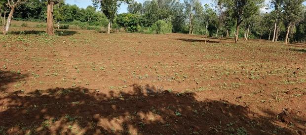7 Acres Kirinyaga/ Kiandai - thumbnail 5