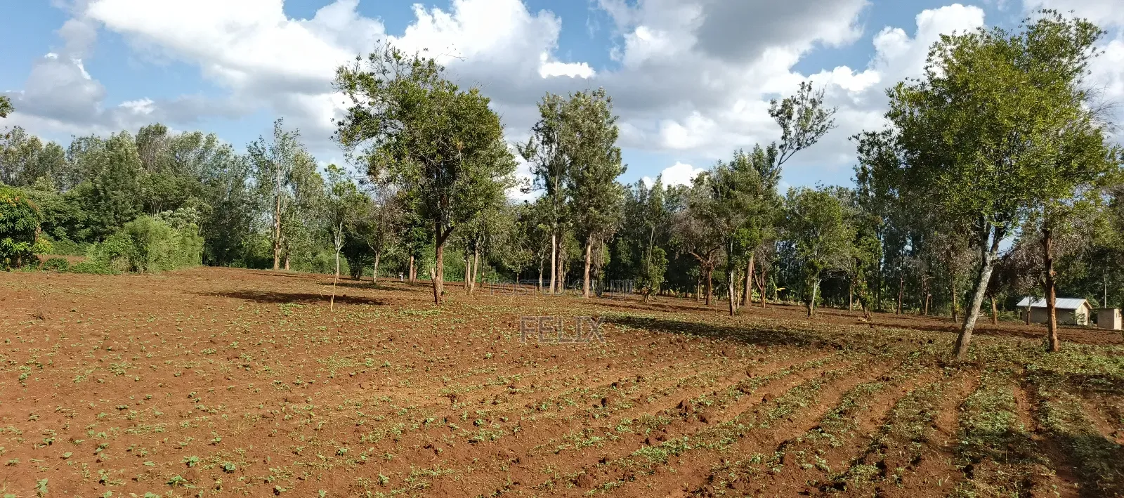 7 Acres Kirinyaga/ Kiandai