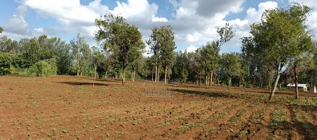 7 Acres Kirinyaga/ Kiandai - thumbnail 6