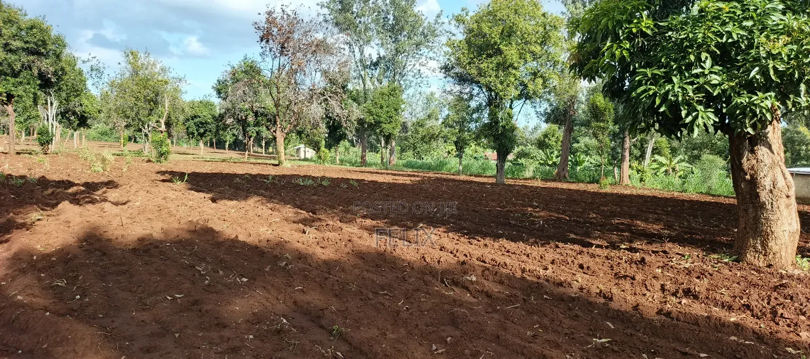 7 Acres Kirinyaga/ Kiandai