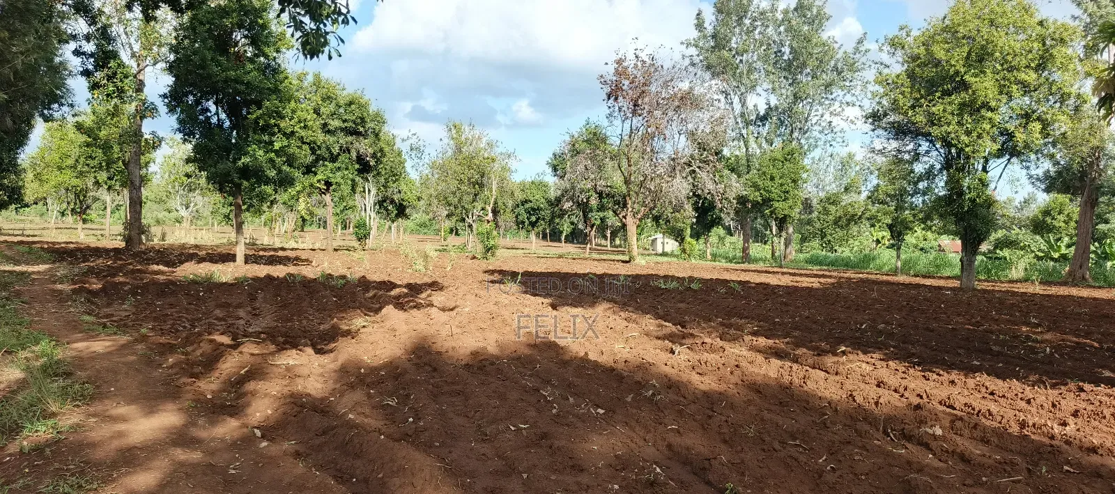7 Acres Kirinyaga/ Kiandai