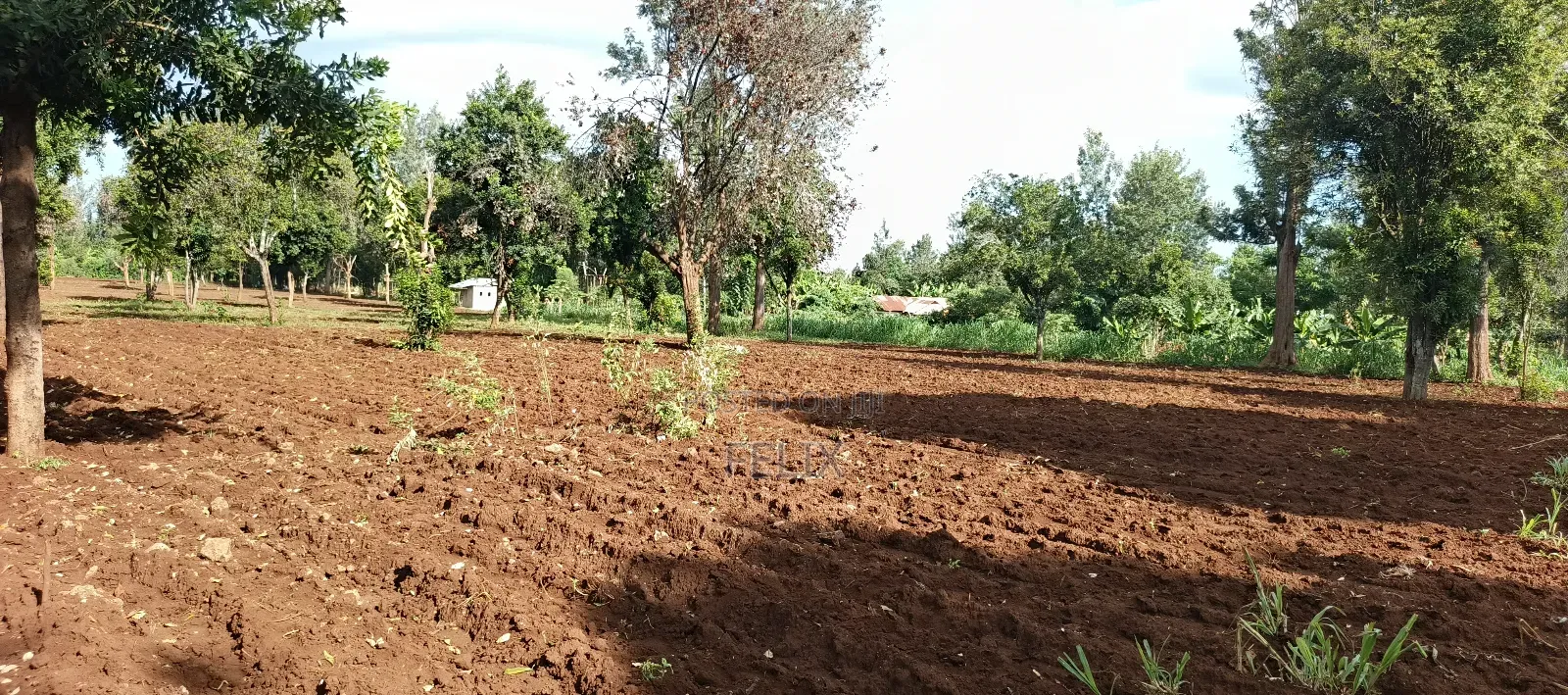 7 Acres Kirinyaga/ Kiandai