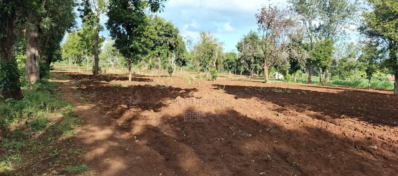 7 Acres Kirinyaga/ Kiandai