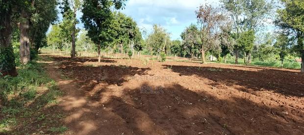 7 Acres Kirinyaga/ Kiandai - thumbnail 12