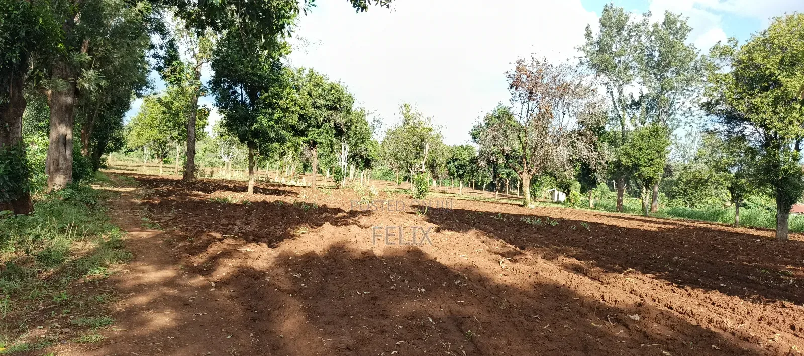 7 Acres Kirinyaga/ Kiandai