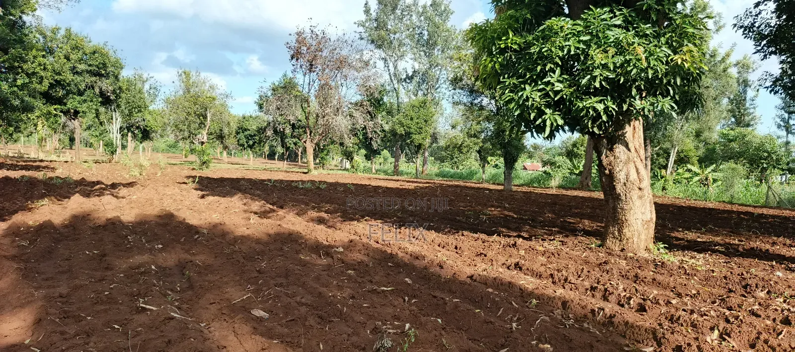 7 Acres Kirinyaga/ Kiandai