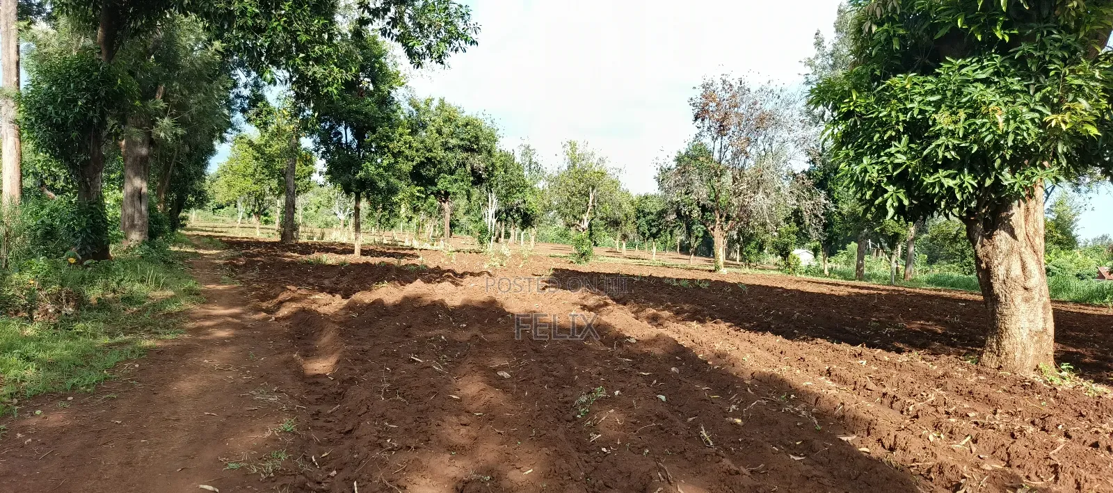 7 Acres Kirinyaga/ Kiandai