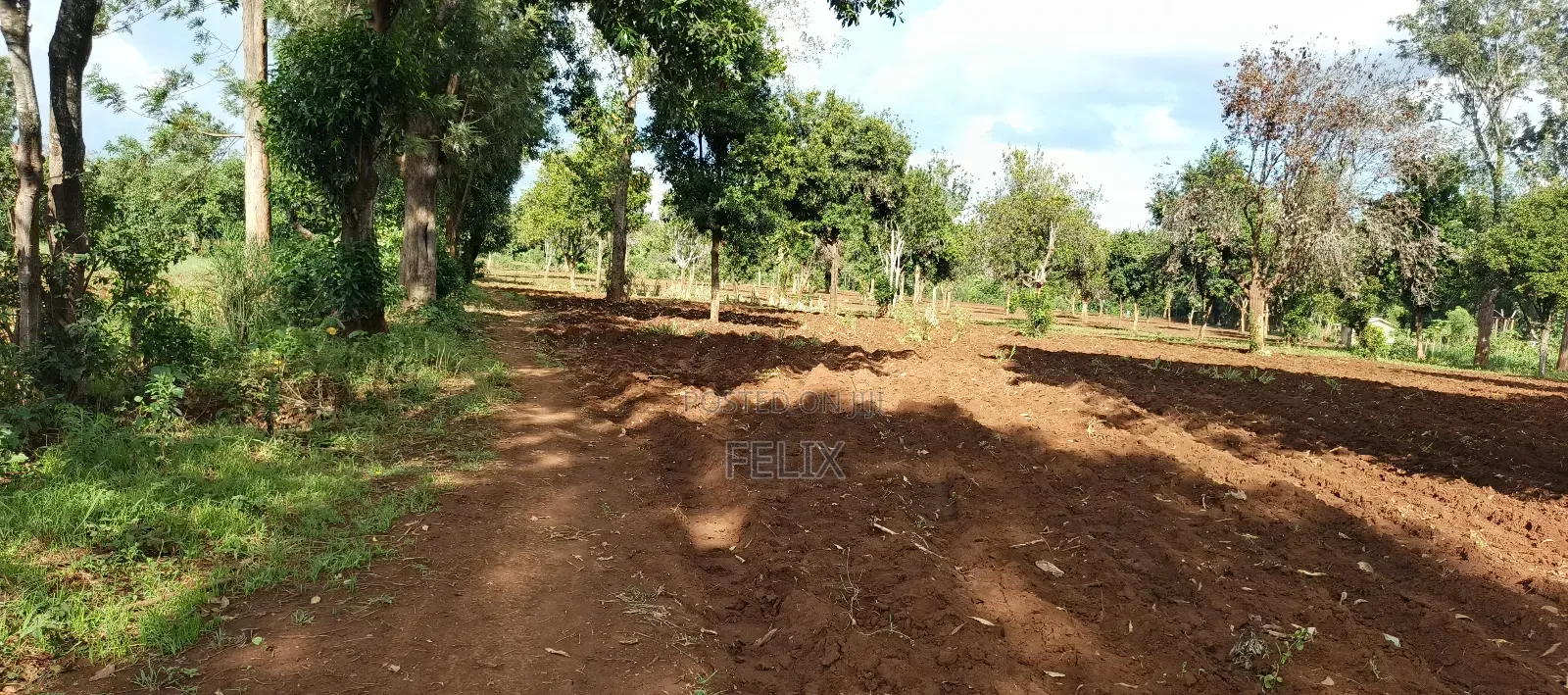 7 Acres Kirinyaga/ Kiandai