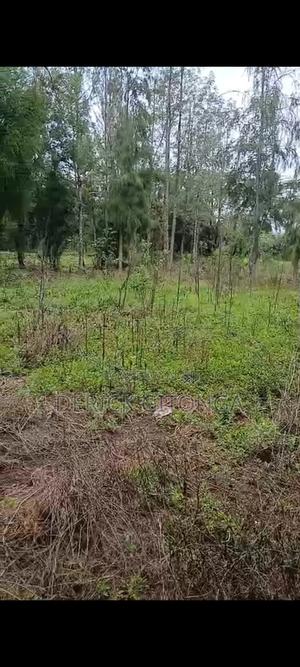 Plots for Sale Quarter an Acre. - thumbnail 2