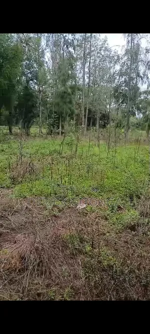 Plots for Sale Quarter an Acre.