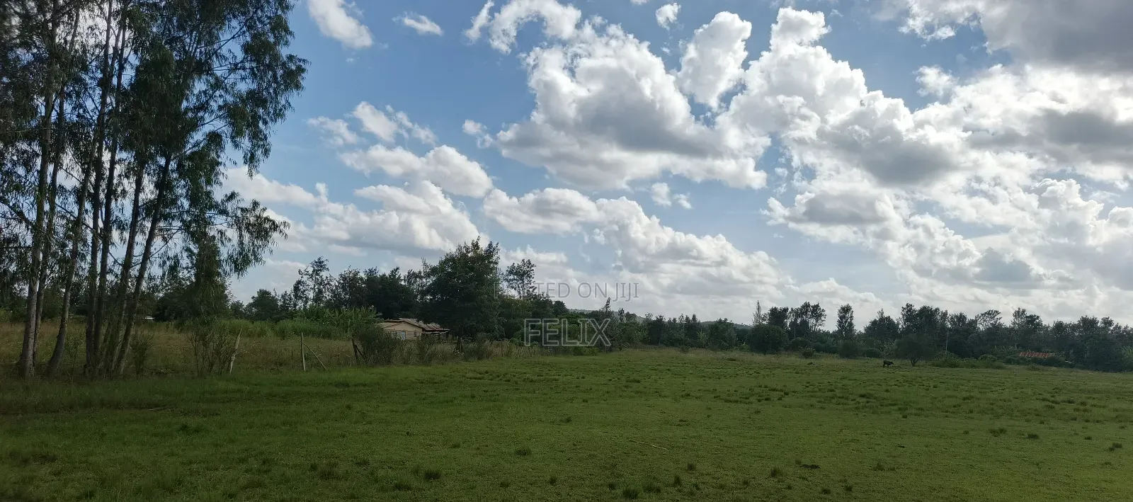 2 Acres Sagana Drive Inn