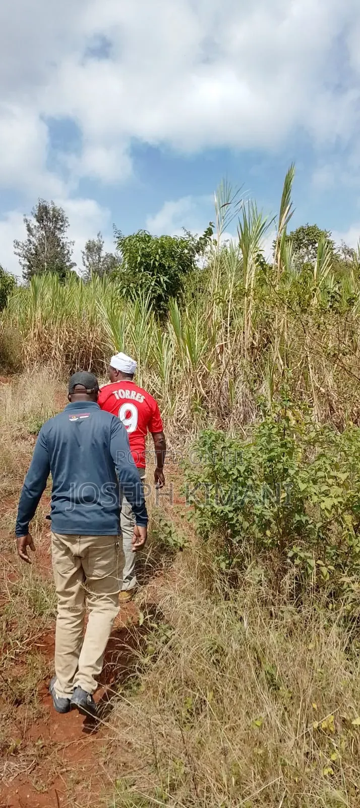 2.5acre Land With a River Down Stream