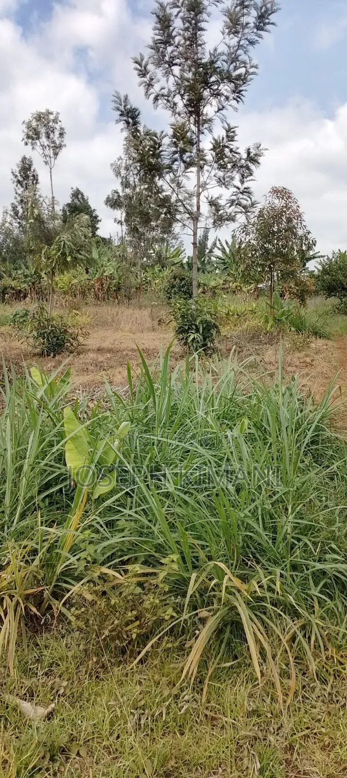 2.5acre Land With a River Down Stream