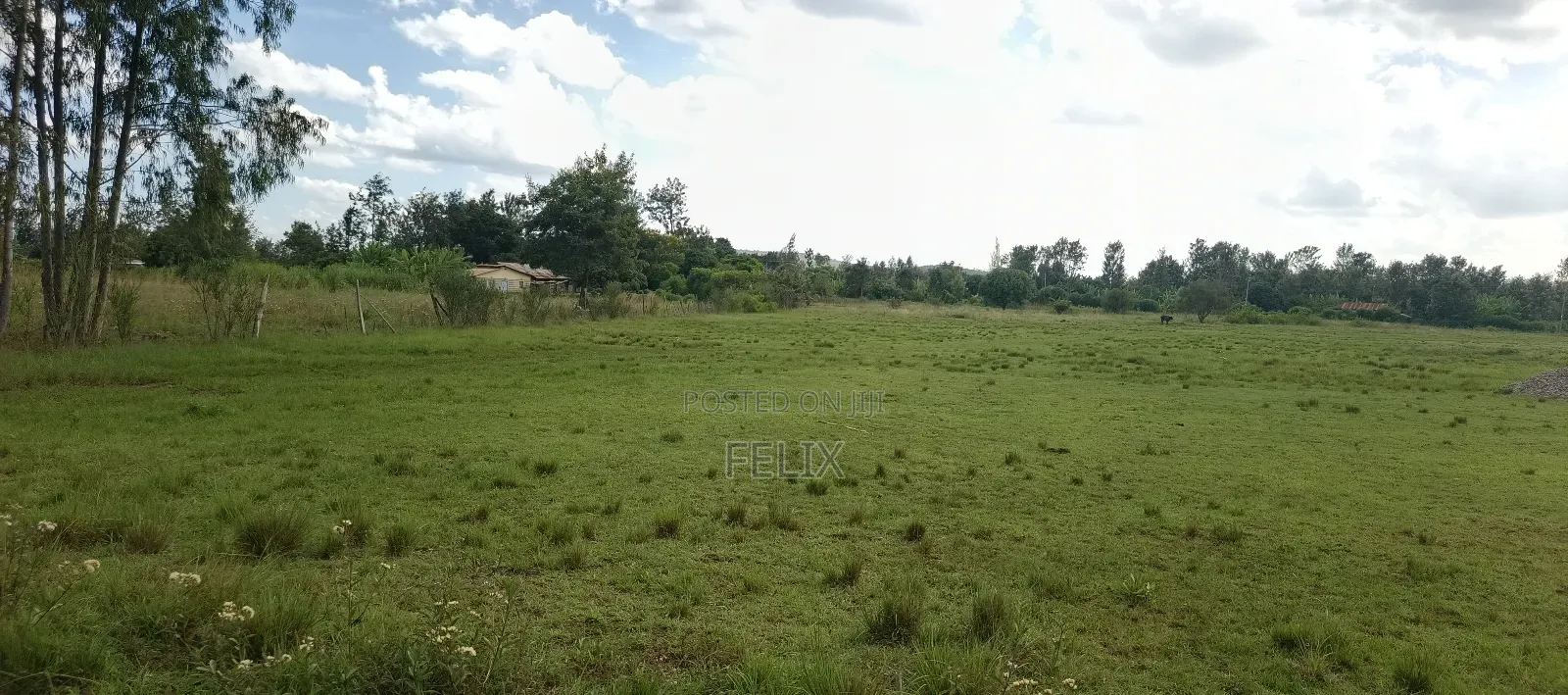 2 Acres Sagana Drive Inn