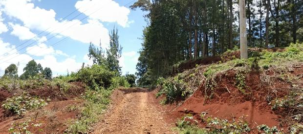 Karatina / Dem 1/2 Acre - main view