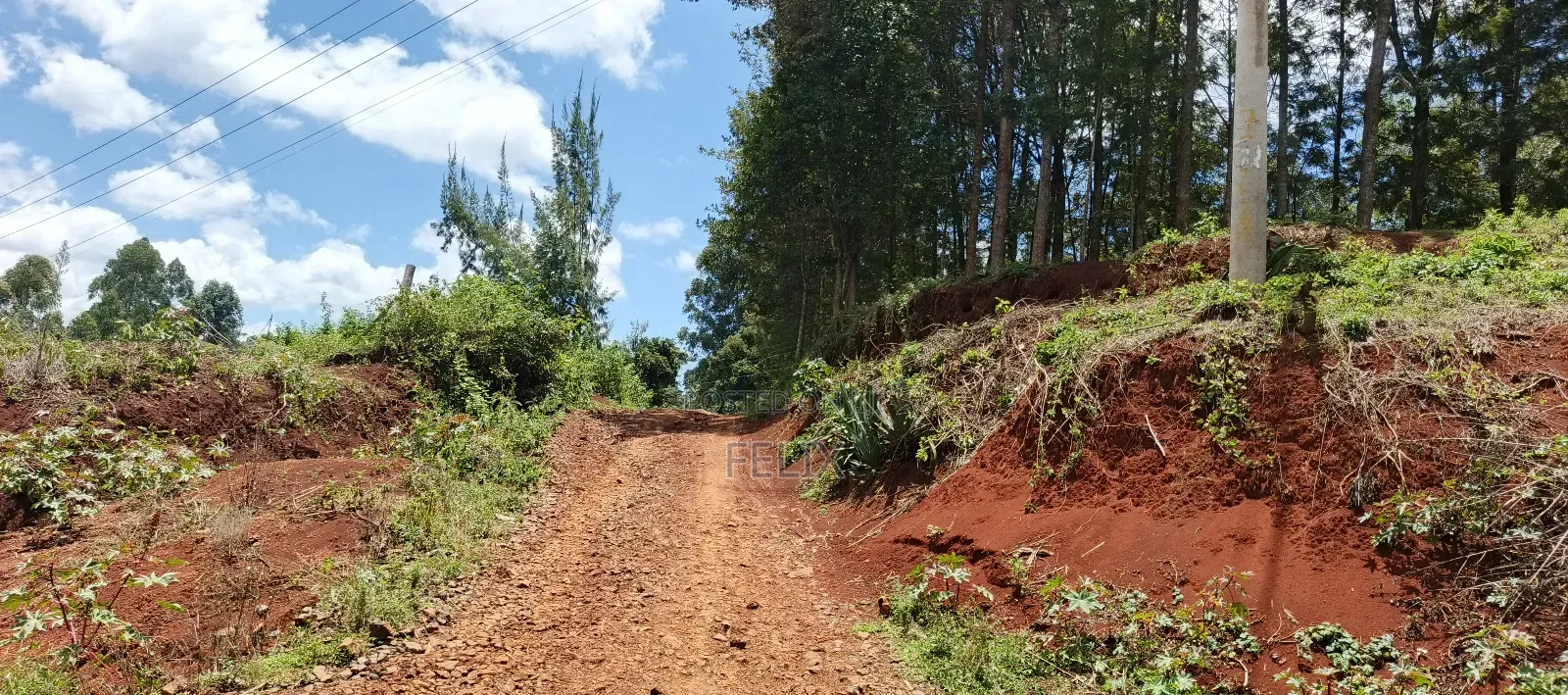 Karatina / Dem 1/2 Acre