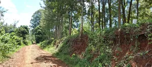 Karatina / Dem 1/2 Acre