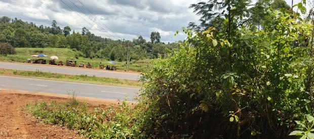 Karatina / Dem 1/2 Acre - thumbnail 6