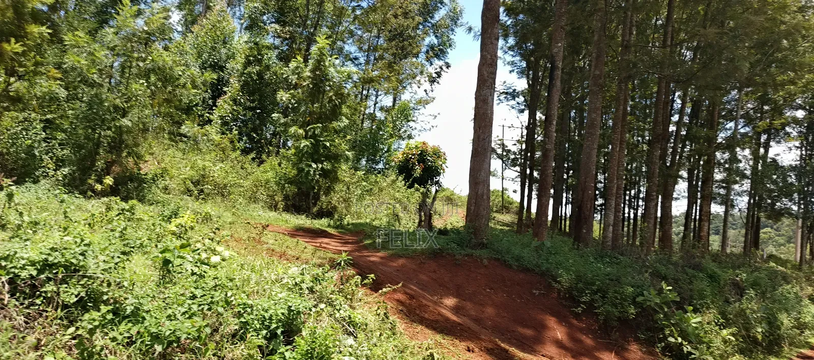 Karatina / Dem 1/2 Acre