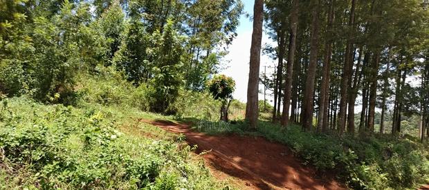 Karatina / Dem 1/2 Acre - thumbnail 8