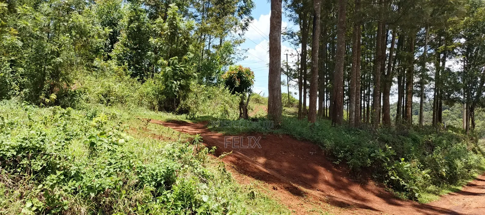 Karatina / Dem 1/2 Acre
