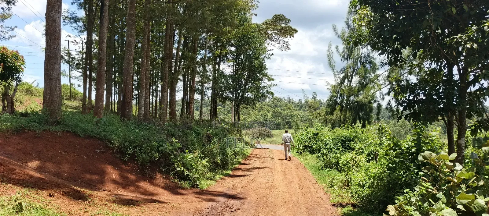 Karatina / Dem 1/2 Acre