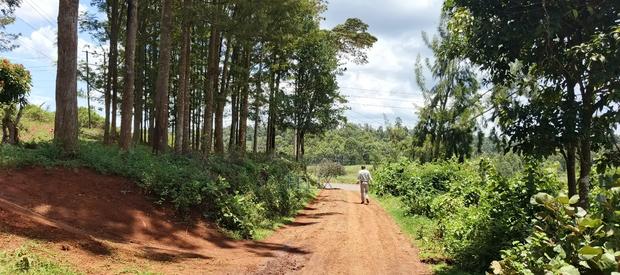 Karatina / Dem 1/2 Acre - thumbnail 12