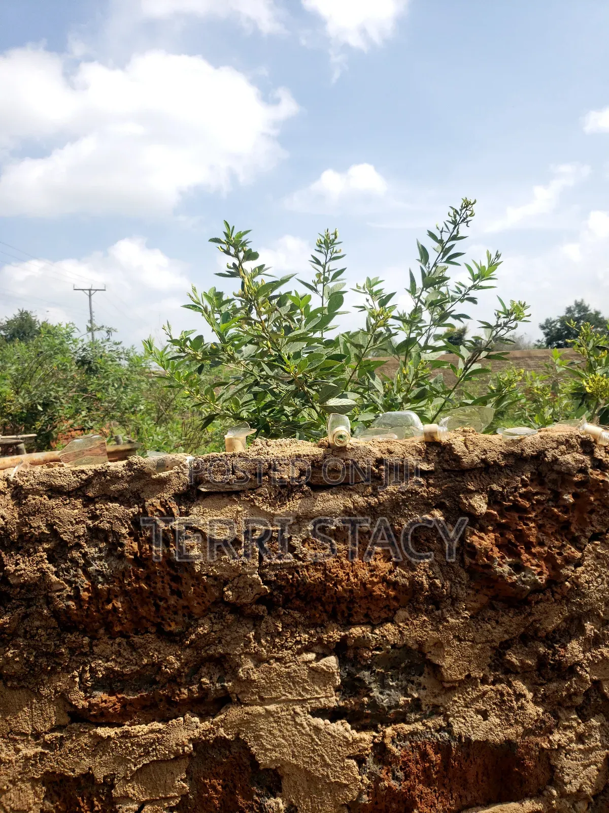 50 by 100 Plot for Sell at Nguumo, Makueni