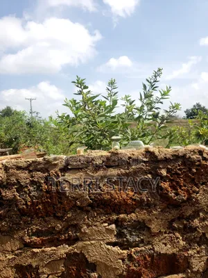 50 by 100 Plot for Sell at Nguumo, Makueni