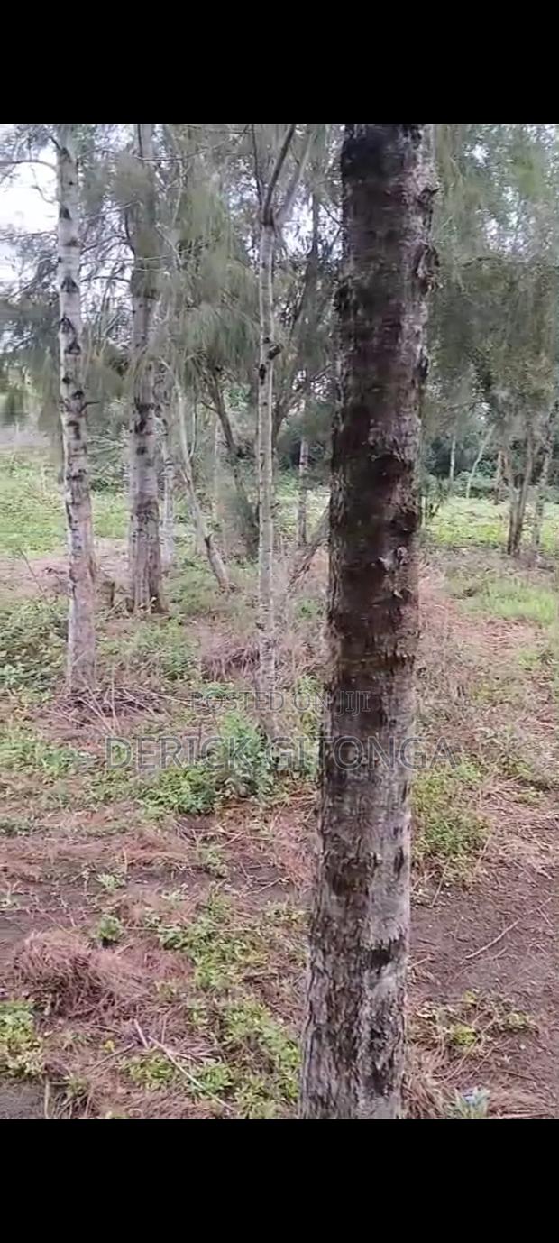 Plots for Sale Quarter an Acre. - thumbnail 3