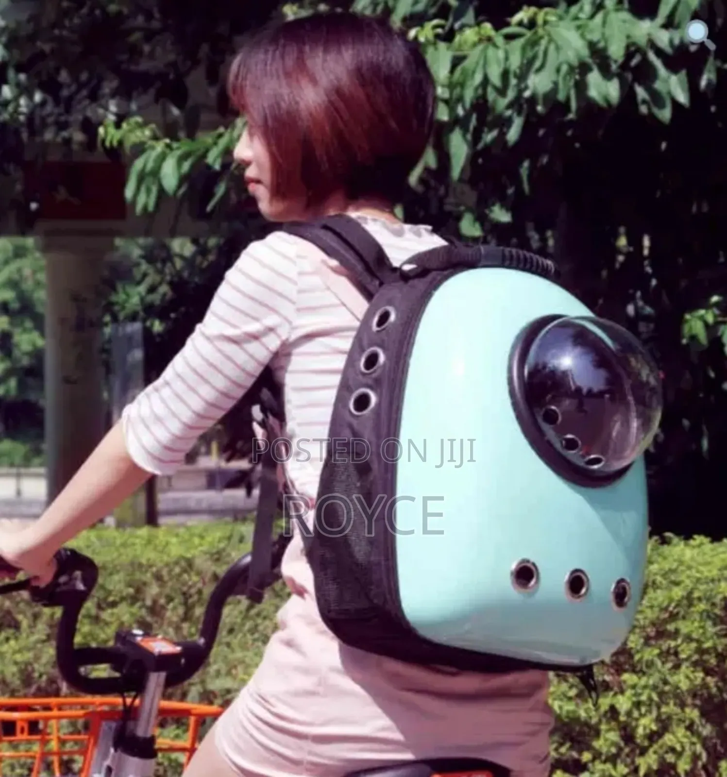 Space Capsule Pet Carrier Backpack