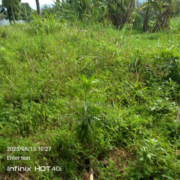 Mixed Use Land - main view