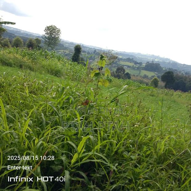 Mixed Use Land - thumbnail 3