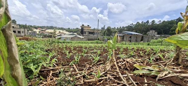 Kikuyu Ondiri 100x100 Plot Available for Sale - thumbnail 3