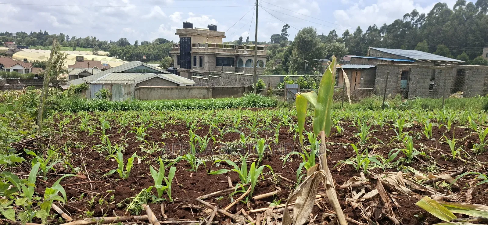 Kikuyu Ondiri 100x100 Plot Available for Sale