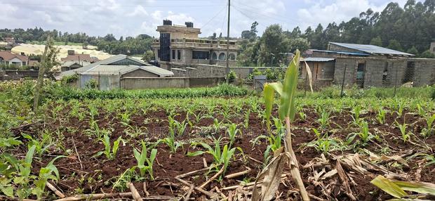 Kikuyu Ondiri 100x100 Plot Available for Sale - main view