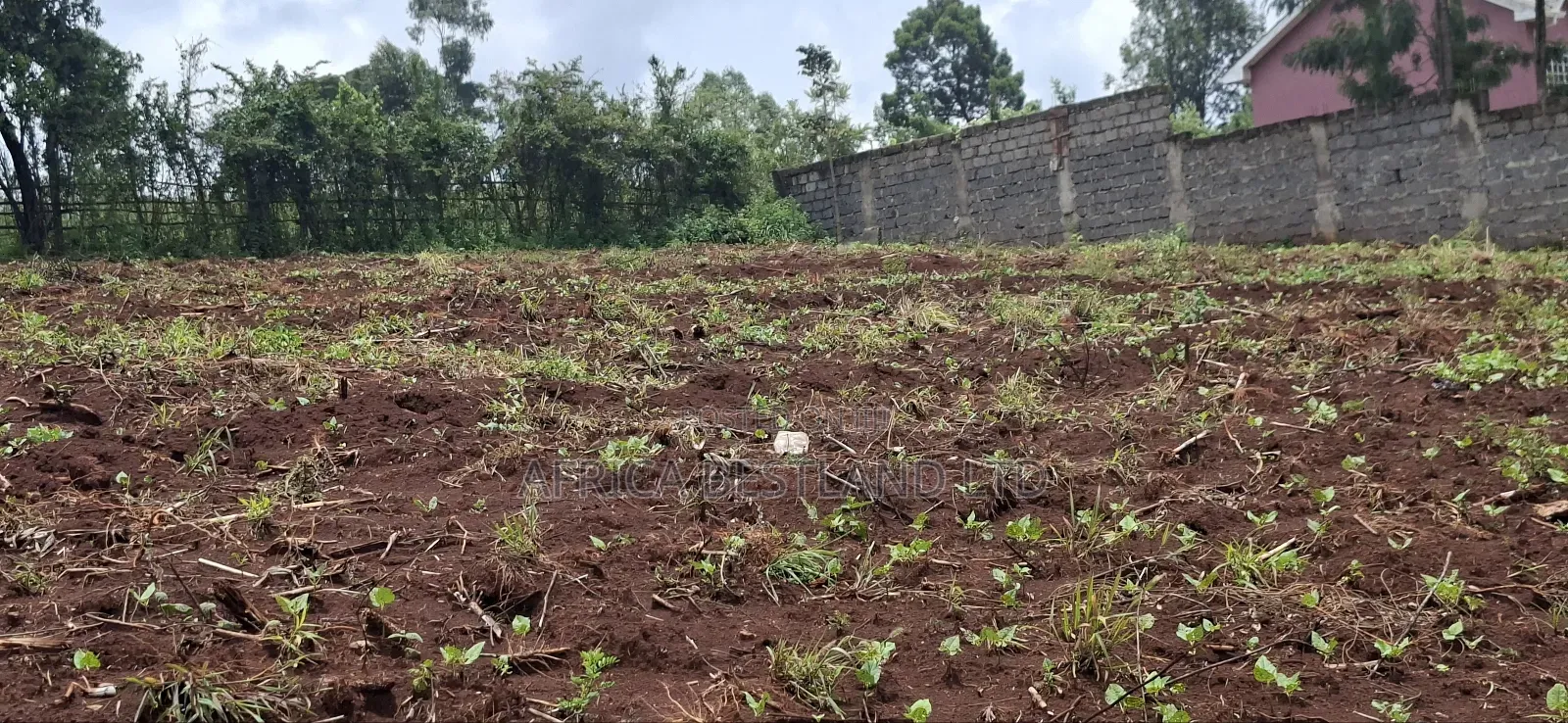 Kikuyu Ondiri 100x100 Plot Available for Sale