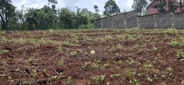 Kikuyu Ondiri 100x100 Plot Available for Sale - thumbnail 4