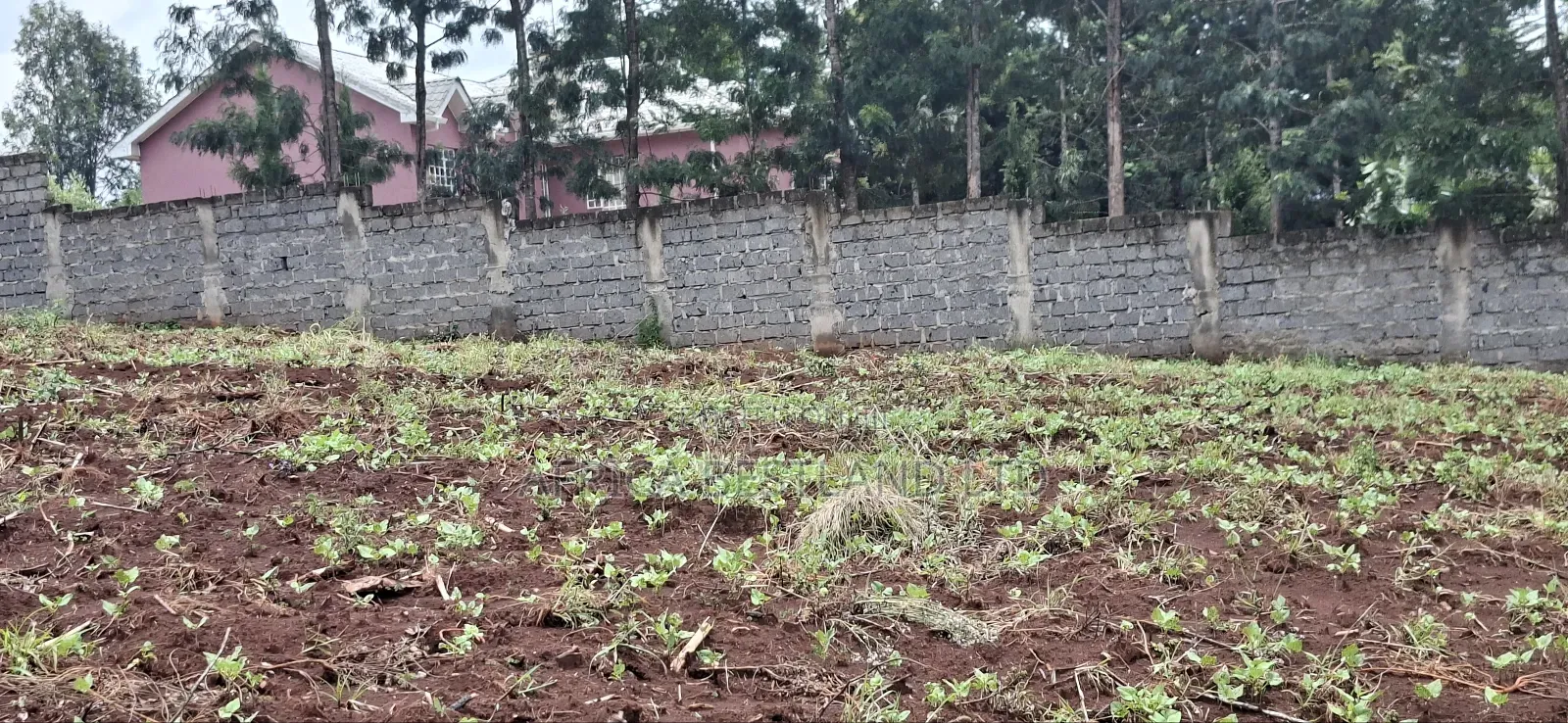 Kikuyu Ondiri 100x100 Plot Available for Sale