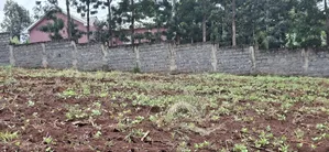 Kikuyu Ondiri 100x100 Plot Available for Sale
