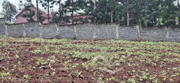Kikuyu Ondiri 100x100 Plot Available for Sale - thumbnail 5