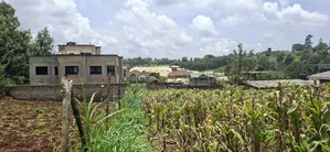 Kikuyu Ondiri 100x100 Plot Available for Sale