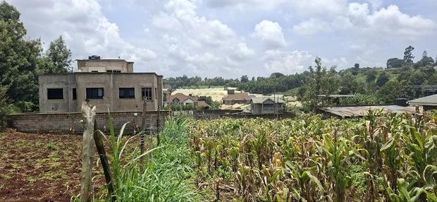 Kikuyu Ondiri 100x100 Plot Available for Sale - thumbnail 6
