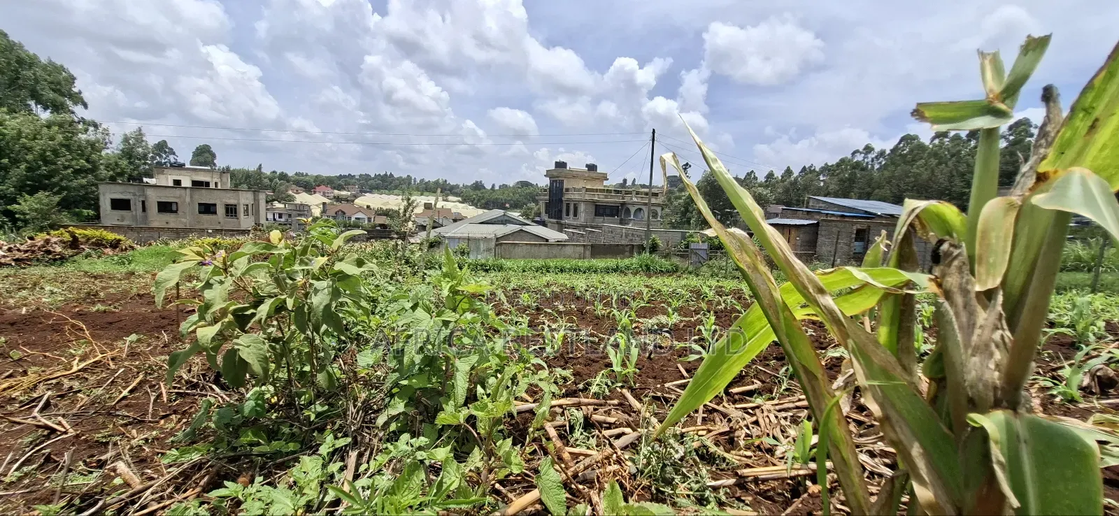 Kikuyu Ondiri 100x100 Plot Available for Sale